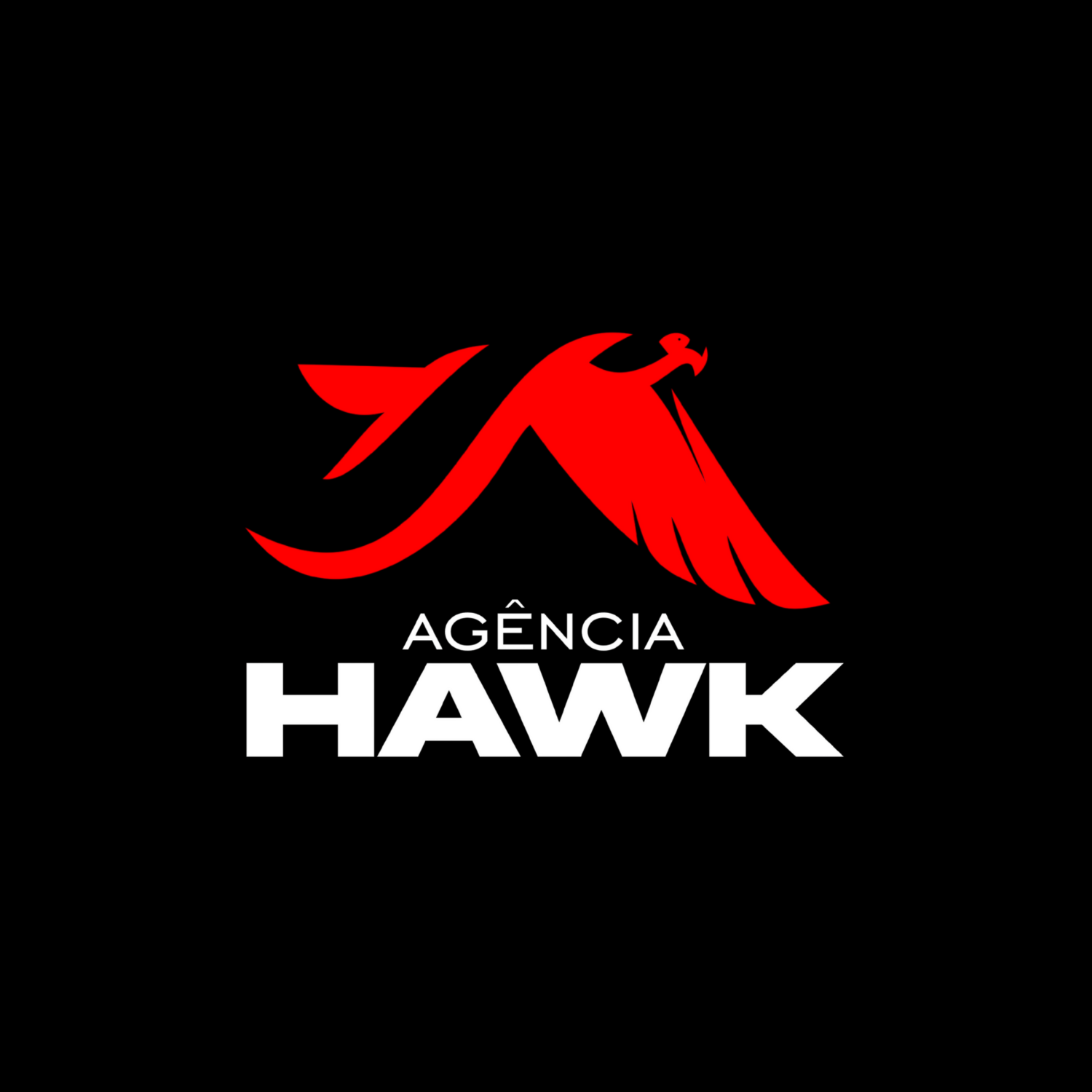 Hawk Agency